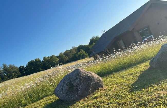 Cuddfan Lodge on a Gorgeous Private Lake - Foto 17