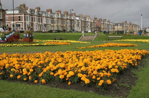 Photo 28 - Seafront Apartments