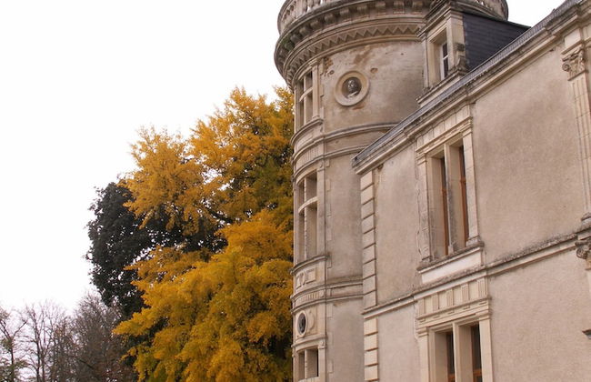 Château de la Court d'Aron - Foto 35