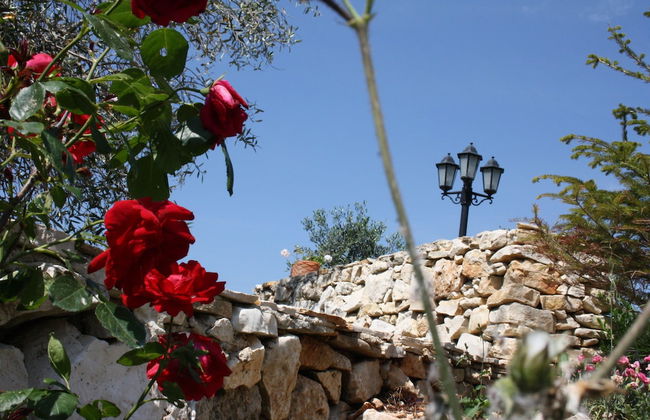 Torre Bruno - Foto 22