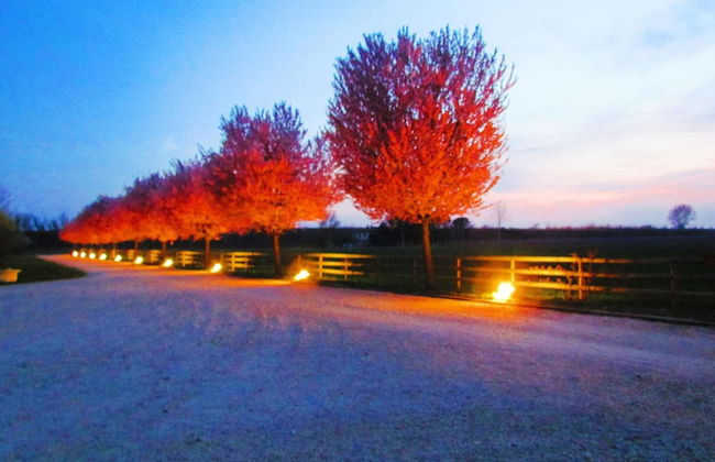 Agriturismo Le Cipressine - Foto 47