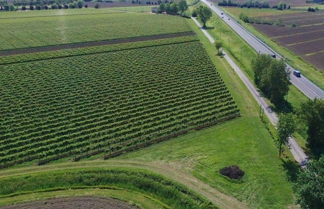 Agriturismo Le Cipressine - Foto 85