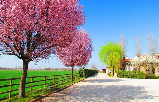 Agriturismo Le Cipressine - Foto 83