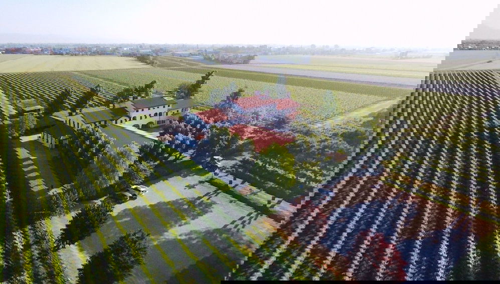 Agriturismo Le Cipressine - Foto 1, Imagem principal