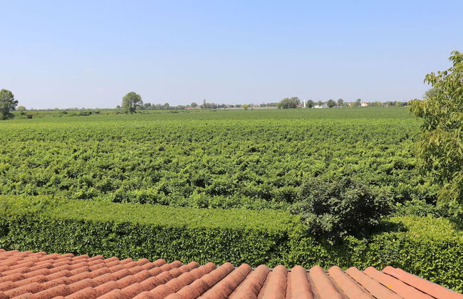 Agriturismo Le Cipressine - Foto 35