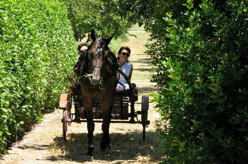 Photo 41 - Tenuta Sant'Andrea