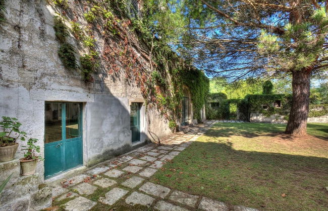 Tenuta Sant'Andrea - Foto 46