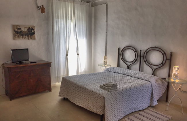 Tenuta Sant'Andrea - Foto 5