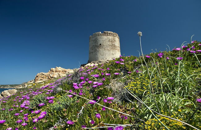 Isola Rossa Borgo Mare - Agenzia Isola Rossa - Foto 62