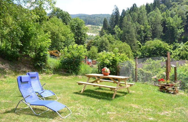 Dalla Natura la Salute - Foto 17