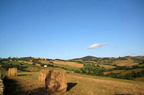 Photo 30 - Quercia Rossa