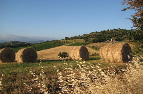 Photo 28 - Quercia Rossa