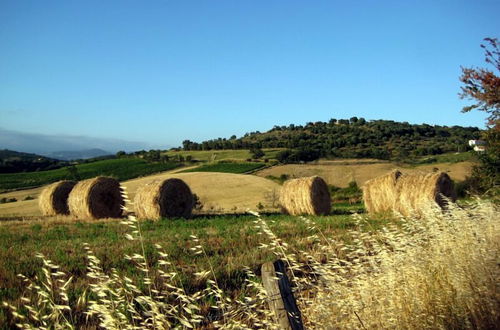 Photo 34 - Quercia Rossa