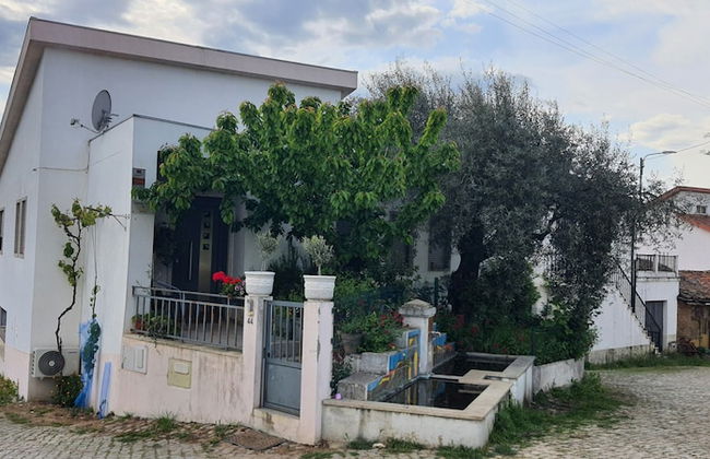 Casa da Oliveira - Photo 6