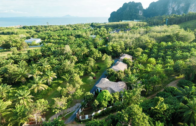 ALOE - Ecological Boutique Villas - Foto 47
