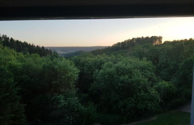 Vintage Villa With Private Garden in Rendeux - Foto 80
