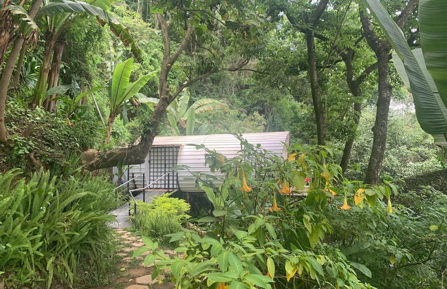 Finca El Tambor - Foto 18