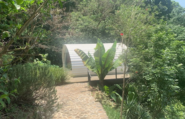 Finca El Tambor - Foto 5
