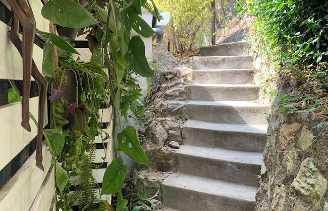 Finca El Tambor - Foto 52