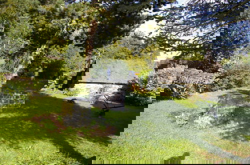 Photo 19 - Idyllic Studio near Forest