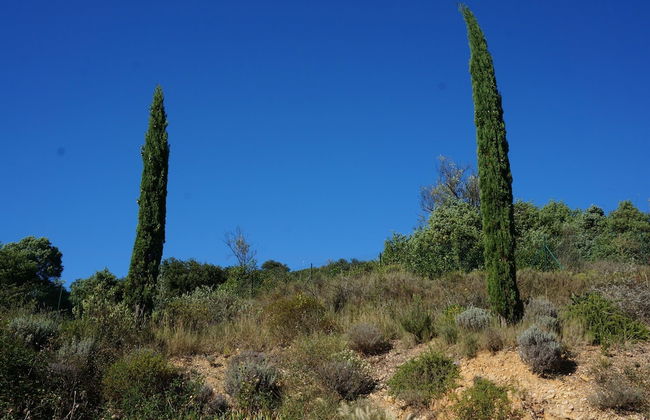 Magnificent Villa in Saint-ambroix With Private Pool - Photo 69