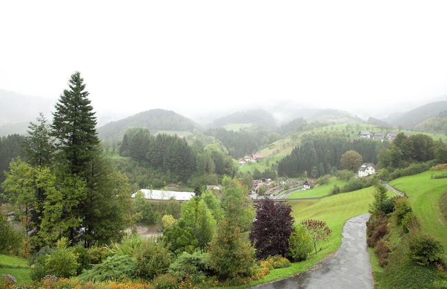 Modern Apartment in Bad Peterstal-griesbach With Vineyards - Foto 61