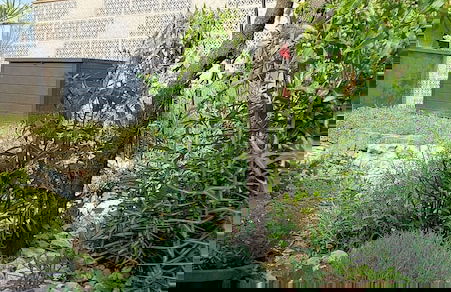 Gîte de La Pyranvôle - Foto 32