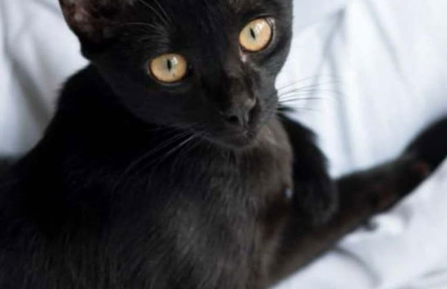 Atmosfera Hotel - Photo 29