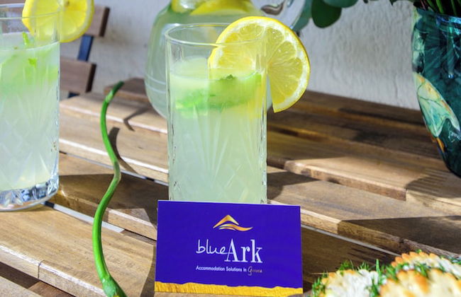 Blue Ark Harmony Residence - Foto 45
