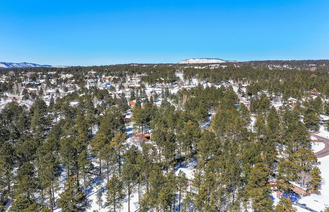 Falcons Overlook - Photo 57