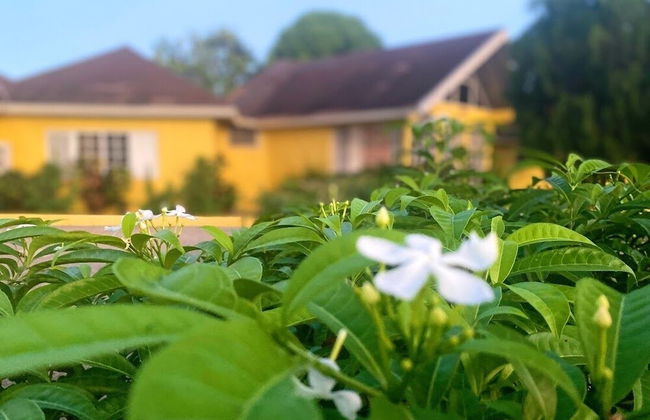 Yancey Largo Villa Perfect Jamaica Ironshore Getaway w Private Pool and Onsite Staff Services by RedAwning - Foto 79