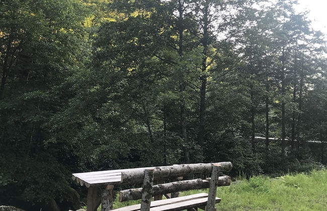Baraka bungalov - Foto 59