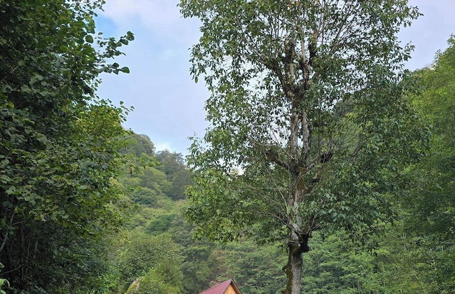 Baraka bungalov - Foto 56