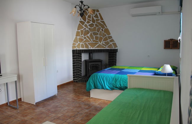 Studio Tropical - Foto 7