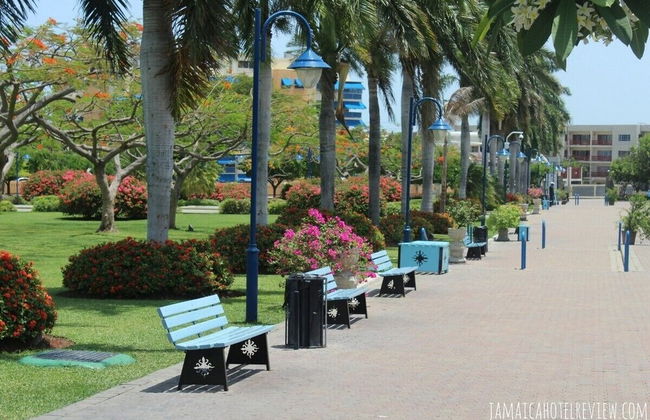 Camperdown Place - Foto 24