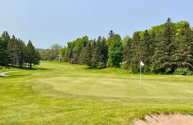 Charming 1BDR Condo w Golf Course View - Foto 25
