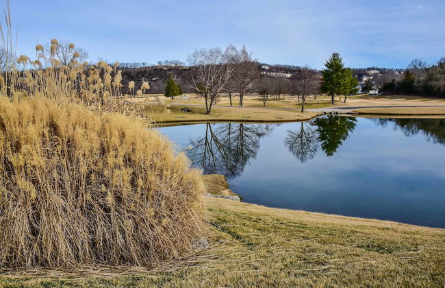 Birdie's Bliss 2BR Condo Sleeps 6! - Foto 22