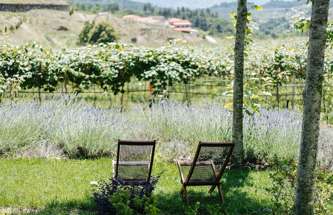 D'Autor Village - Foto 53