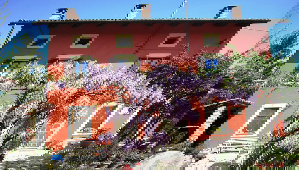 Imagem principal