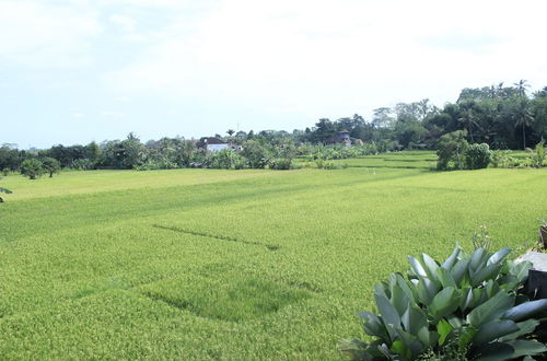 Foto 53 - Heaven Villa Ubud