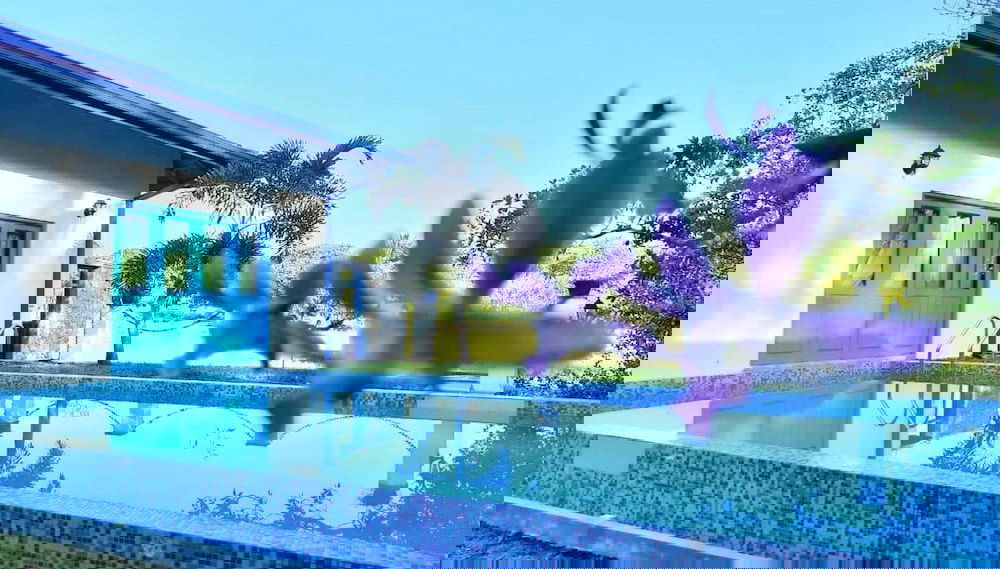 Image principale