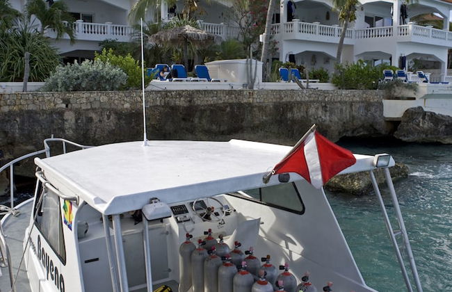 Belmar Oceanfront Apartments - Photo 50