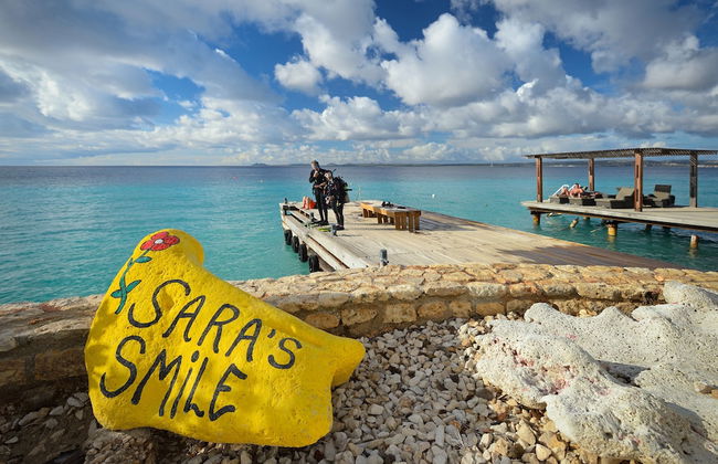 Belmar Oceanfront Apartments - Photo 59