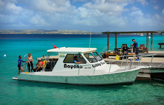 Belmar Oceanfront Apartments - Photo 51