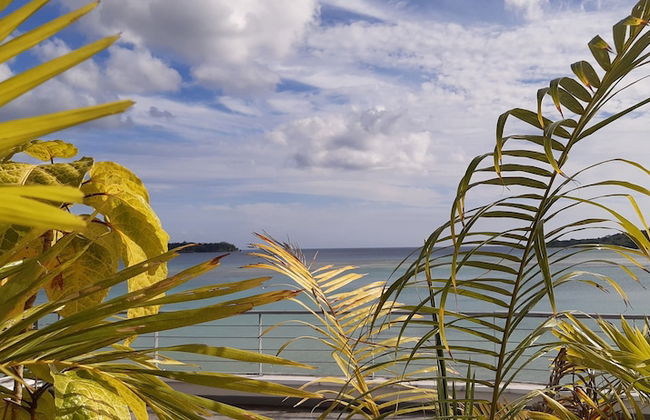 Chantillys on the Bay - Photo 47