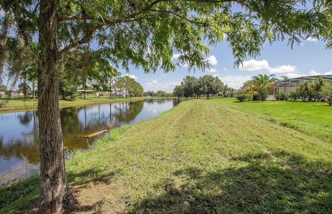 Aster Cove - Foto 55