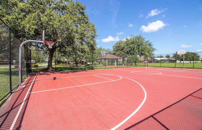 Aster Cove - Foto 38