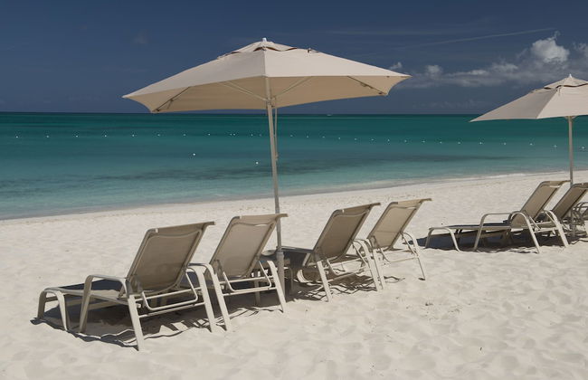 The Venetian on Grace Bay - Photo 23