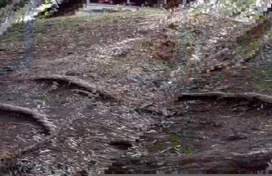 Mahun on the Lagoon Bungalows - Photo 16