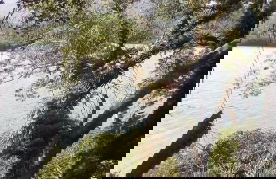 Mahun on the Lagoon Bungalows - Photo 17